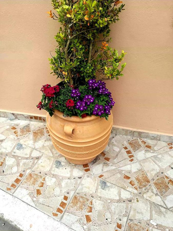 Joy New Port Studio Corfu Town Zewnętrze zdjęcie